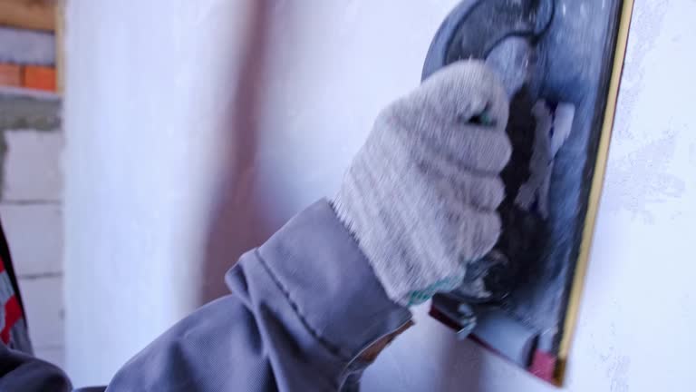 Best Industrial Mold Remediation  in , KS