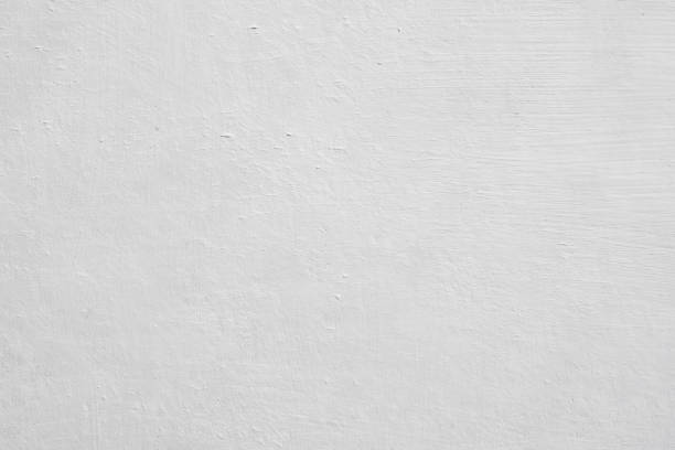 Best Black Mold Removal  in , KS