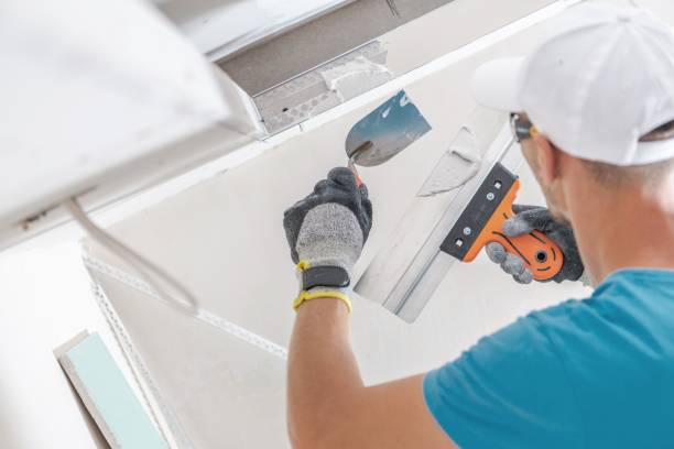 Best Mold Prevention Services  in , KS